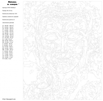 Картина по номерам, 40 x 50, PHTO-4050bud