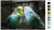Картина по номерам, 40 x 60, KTMK-birds012