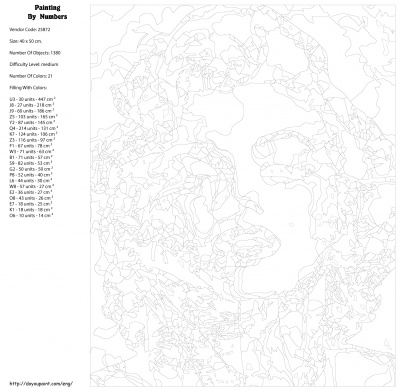 Картина по номерам, 40 x 50, KTMK-25872