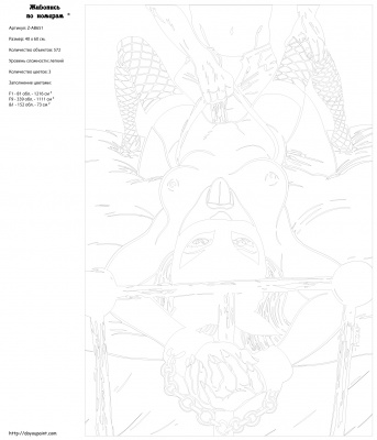 Картина по номерам, 40 x 60, Z-AB651