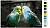 Картина по номерам, 80 x 120, KTMK-birds012