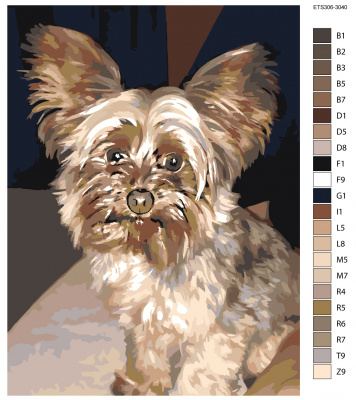 Картина по номерам, 36 x 48, ETS306-3040