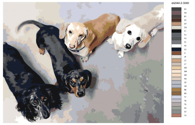 Картина по номерам, 75 x 100, ets544-2-3040